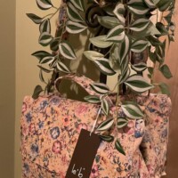 Look donna 4